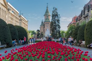 27931138106_01fa176aa0_b