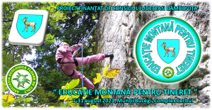 munte- floare de colt