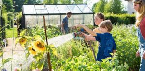 apa -stropit gradina