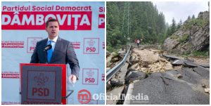 corneliu stefan munte