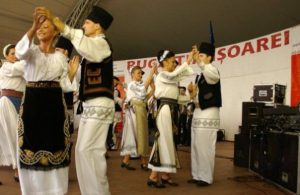 s604x0_ruga_timisoarei