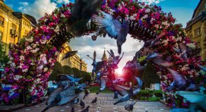 13063116_1735116806764426_7198112499531494917_o