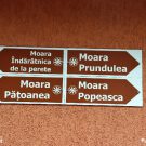 hai-la-rudaria-final (6)