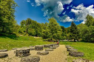 234319585_4247961441960368_5282945473981910615_n