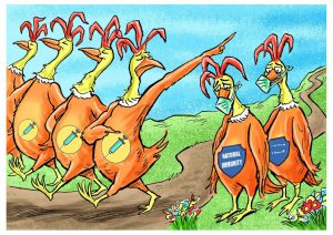 249217292_896502417661498_3428982703817750281_n