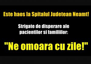 Screenshot_20211012-104025_Messenger