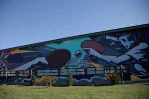 pictura murala Dumbravita - 4f5237eb-872d-4c8d-98e2-1c818493690a (1)