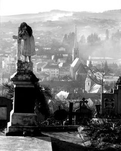 251354158_3076807425884932_6538343777799533266_n