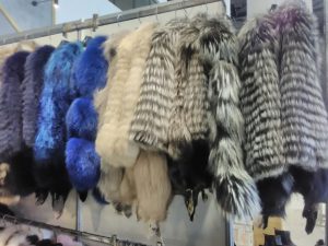 IMG_20211124_123122 (Medie)