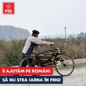 psd lemne - iarna frig