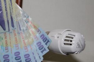 1_3_226491_1640339788_08292