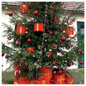 2021123-Bradul-de-Craciun-Satul-Regal-3