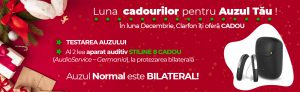 banner-site-luna-cadourilor