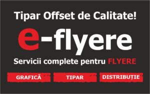 logo e-flyere
