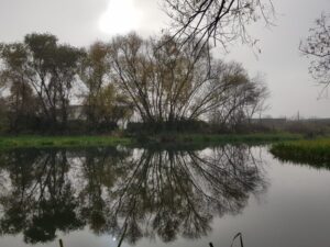 lunca-urbana-1024x768