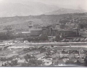 197633_447347031956530_1633779669_n