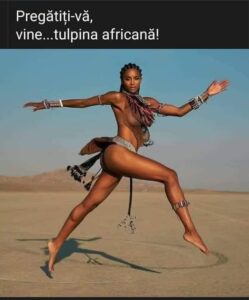 261801733_5300776639939403_6002445085188400951_n