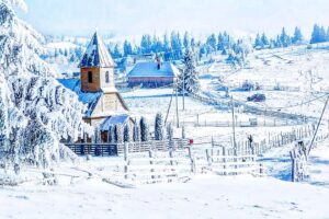 272994563_357336912880560_7889091928576921230_n