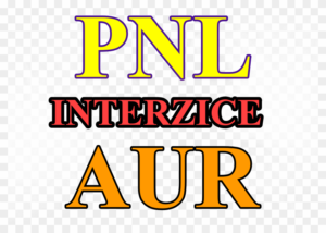 PNL INTERZICE AUR