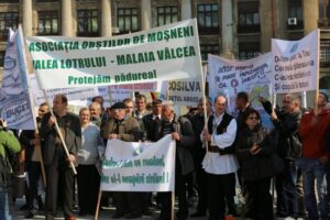 nostra-silva-850x567