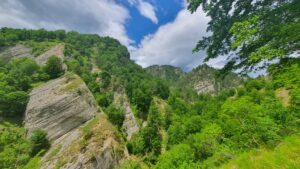 277149056_302191628666106_7996823185040148227_n