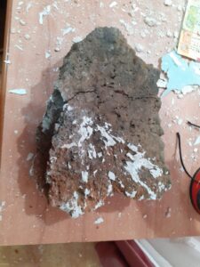 277353865_5654822184531187_8501821462549165731_n