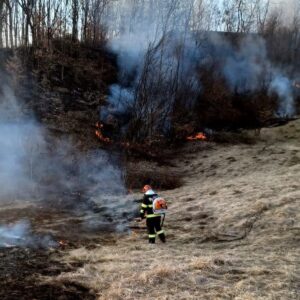 WhatsApp Image 2022-03-28 at 16.20.04