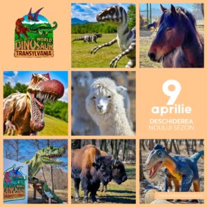 276154103_177434814619948_6530131680292192733_n