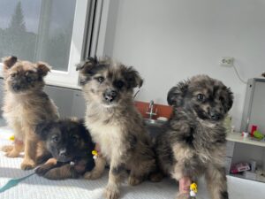 278168684_770090120578076_7547826870912452308_n