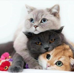 278342461_3248646305379708_8560795057062453201_n