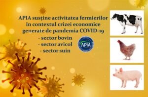 ajutor_covid-1024x677