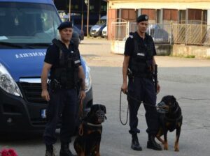 jandarmi-timişoreni