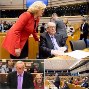 279461441_537505094411890_56719982352867739_n