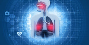 Human Respiratory System