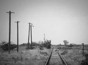 comunicat Camine in miscare_15 iunie 2022_foto_Diana Bilec