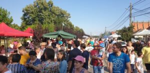 festival-tocanita-ceaune-8