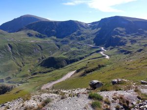 292812621_410028311082003_4653844831929358583_n