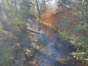 Râul Timiș la statia hidrometrică Teregova