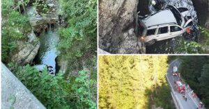 10845430139131356086 (Mică)