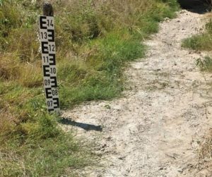 298386052_393036669622539_8717795497607886281_n