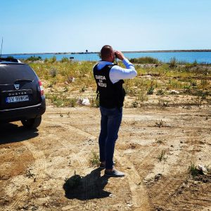 300003051_441126158045372_8897362402753324354_n