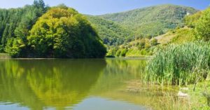 4708017362702939752 (Mică)