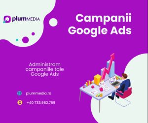 google ads - plum media1