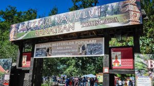 image_503_1_large (Mică)