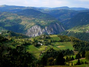 127272749_3684288731593989_7676528714914409462_n