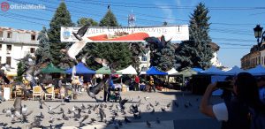 foto banner zilele cetatii