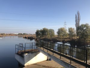 Acumulare Dumbravita -jud. Timis