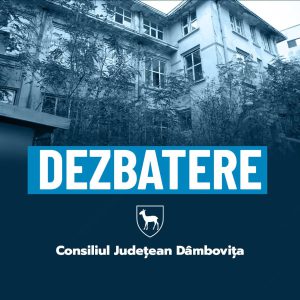 dezbatere publica