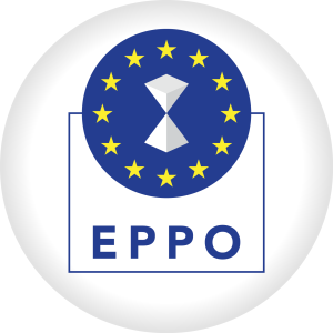 271717540_234800148838480_7369020460494281665_n