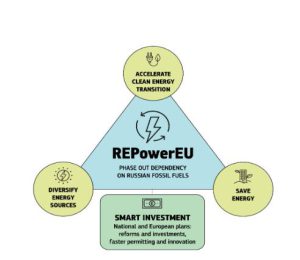 317262051_516372880529644_2291428771856109967_n